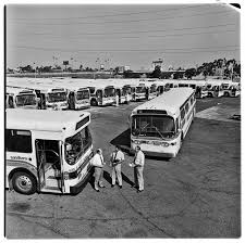 Image result for Gray 1984 Fleet