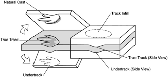Check spelling or type a new query. How Tracks Are Preserved