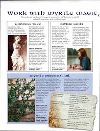 Pin On Wicca Magic Ect