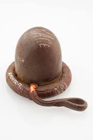 Image result for Cervical Cap