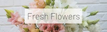Maybe you would like to learn more about one of these? Amore Fiori Flowers Gifts