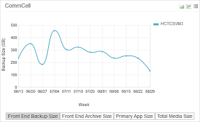 chargeback report monthly weekly or daily chargeback