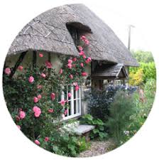 23.07.2020 · thatched roof home insurance. Thatch Home Insurance Thatchline Insurance