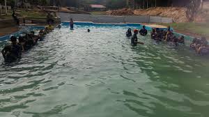 Semasa menjalani praktikum fasa 3 di sk taman sri mawar yang lepas, saya sempat membuat lawatan ke. D Kok Eco Camp Sk Taman Sri Mawar Seremban Facebook