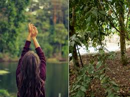 4 Day Ayahuasca Retreat Peru