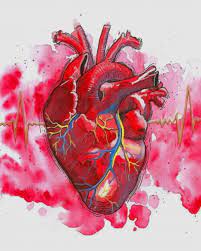Check spelling or type a new query. Watercolor Human Heart New Paint By Number Numeral Paint