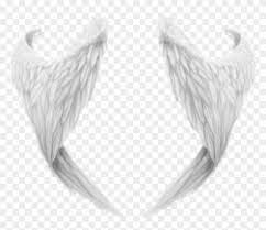 This next pack consists of 37 abr brushes of wings. Angels Png Clipart For Photoshop Angel Wing Transparent Png Png Download 900x761 11384 Pngfind