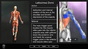 Image result for Trigger Point Location