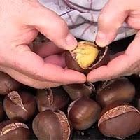 E non dimenticate di osservare il video in apertura per altri preziosi consigli su questa portata. Castagne O Marroni Al Forno Trucchi Segreti E Cottura Perfetta Chef Stefano Barbato