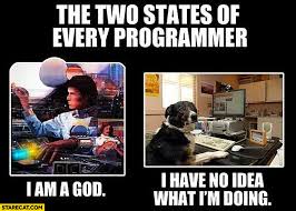 Two States Of Every Programmer I Am God I Have No Idea What I M Doing Starecat Com