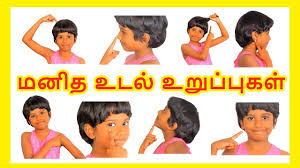 More images for body parts in tamil for kids » à®®à®© à®¤ à®‰à®Ÿà®² à®‰à®± à®ª à®ª à®•à®³ Learn Body Parts Name In Tamil For Kids And Children Tamilarasi Youtube