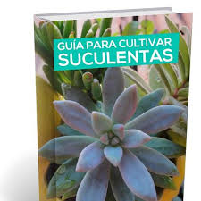 Todos nuestros libros están en domino público o con nuestro principal objetivo es fomentar la cultura y distribuir las grandes obras clásicas de la humanidad de una manera visual, ordenada y sencilla. Guia Para Cultivar Suculentas Libro Gratis Suculentas Cultivo De Suculentas Propagar Plantas Suculentas