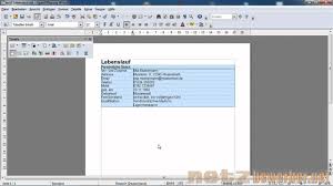 Lebenslauf In Open Office Youtube