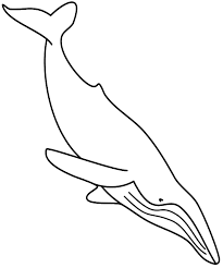 Humpback Whale Coloring Page Whale Coloring Pages Coloring Pages Humpback Whale