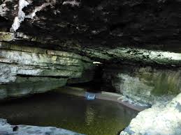 Elevation Of Tims Ford State Park Tims Ford Dr Winchester Tn Usa Topographic Map Altitude Map