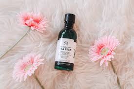 I got the toner after i heard all good things that tea tree did for acne prone skin. The Body Shop Tea Tree Toner Review