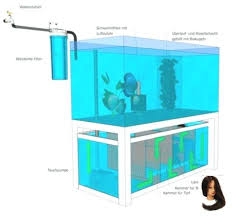 Europa Discus Center Akvaryum Akvaryumlar Balik