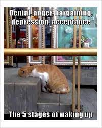 10 Funny Morning Wake Up Ideas Morning Humor Morning Quotes Funny Funny