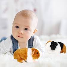 Aoriher 2 Pièces Jouets en Peluche Cochon d'Inde Mignon Animaux en Peluche  Réalistes Jouets Poupée de Cochon d'Inde Douce Décor pour Fête à Thème  Garçons Filles (Style Classique) : Amazon.fr: Jeux et