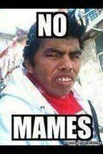No Mames Meme Risa Chiste Jajaja Http Www Gorditosenlucha Com Funny Spanish Memes Spanish Memes Funny Comments