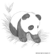 Pencil drawings of animals realistic pencil drawings animal sketches amazing drawings art drawings cute cat drawing drawing ideas drawing tips graphite art. Pencil Drawing Baby Animals Pencildrawing2019