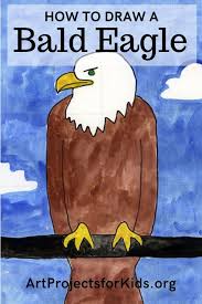 How To Draw A Bald Eagle Art Projects For Kids Bald Eagle Art Project Kids Crafts Art Projects Kids Art Projects