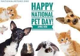 She also created the day to shine a spotlight on the plight of the many types of animals which are in shelters all over the planet. Happy National Pet Day National Pet Day Facebook