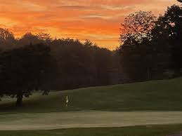 Image result for Ryder Yellow 1995 Fleet