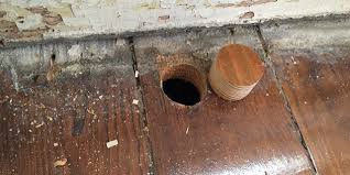 Plugging Holes In Wood Floors Is Easier Than You Think Old Wood Floors Wood Floors Flooring