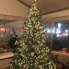 With attractions like petting zoos, pictures with santa, and gift shops, farmers are creating magical outdoor adventures that are drawing visitors back year after year. Santa S Christmas Trees