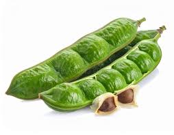 Image result for Parkia