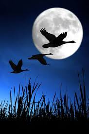 Geese With Full Moon Pintura De Lua Pinturas Paisagens Boa Noite Com Lua
