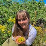 Herbs For The Nervous System And Their Flower Essence Meanings