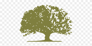 12,000+ vectors, stock photos & psd files. Download Olive Logo Gilt Leaf Games Free Transparent Png Clipart Images Download