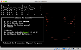 How to fix could not create the java virtual machine error on windows? Easy Minecraft Server On Freebsd Freebsd Foundation