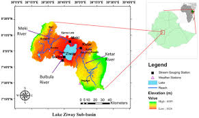 Water Free Full Text Hydrologic Responses To Climate Variability And Human Activities In Lake Ziway Basin Ethiopia Html
