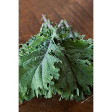 Plus, 15,000 vegfriends profiles, articles, and more! Red Russian Kale Heirloom 58 Days
