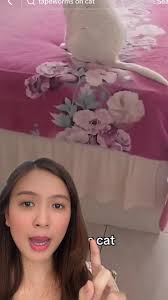 Adorable Cats Taking Over TikTok in Cambodia