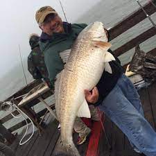 Obx Fishing Reports Pictures Home Facebook