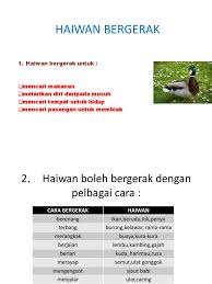 Standard kandungan standard pembelajaran sains tahun 2 kssr ( haiwan). Pergerakan Haiwan Sains Tahun 2