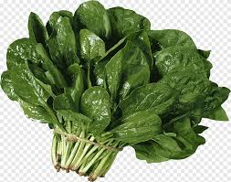 Jangan lupa juga tambahkan temu kunci agar rasanya lebih terangkat. Sayuran Daun Hijau Jaringan Sayuran Daun Bayam Chard Salad Daun Sayuran Makanan Png Pngegg