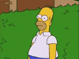 A gif of your choice. 15 Memes Gifs Everyone Can Relate To Society19 Uk