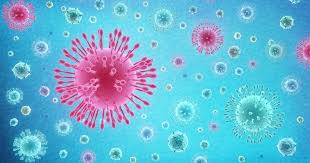 Descubren cómo penetra el coronavirus en las células humanas