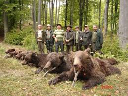 Mergem să prindem unul uriaș. Incepe MÄcelul UrÈilor Indiferent Cate Mitinguri Vor Fi Cu Sprijinul Academiei Romane