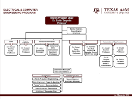Texas A M University At Qatar Organizational Chart