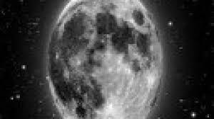 Normalmente, conocemos cuatro tipos de fase lunar, que son la luna nueva, cuarto creciente, luna llena y cuarto menguante. Calendario Lunar De Siembra Y Trasplantes Segun Fases Lunares