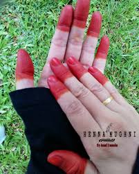 Pokok salam hilangkan karat gigi. Inai Damia Inai 100 Daun Pokok