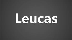 Image result for Leucas princei