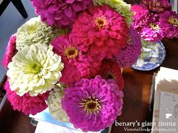 We offer world wide flower delivery service and one low local delivery price from victoria, to. My Favorite Flowers For A Cutting Garden So Easy To Start From Seed Bloom All Season Long Fills Your Cottage Garden With Color Victoria Elizabeth Barnes