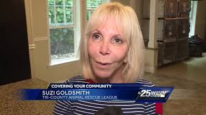 Dogs Arrive From Puerto Rico